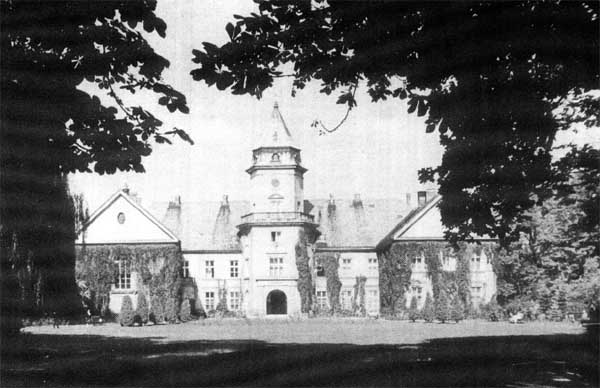 Dzików Castle in 1929